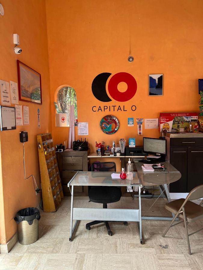 Capital O De Ajijic, Chapala Jalisco Ajijic